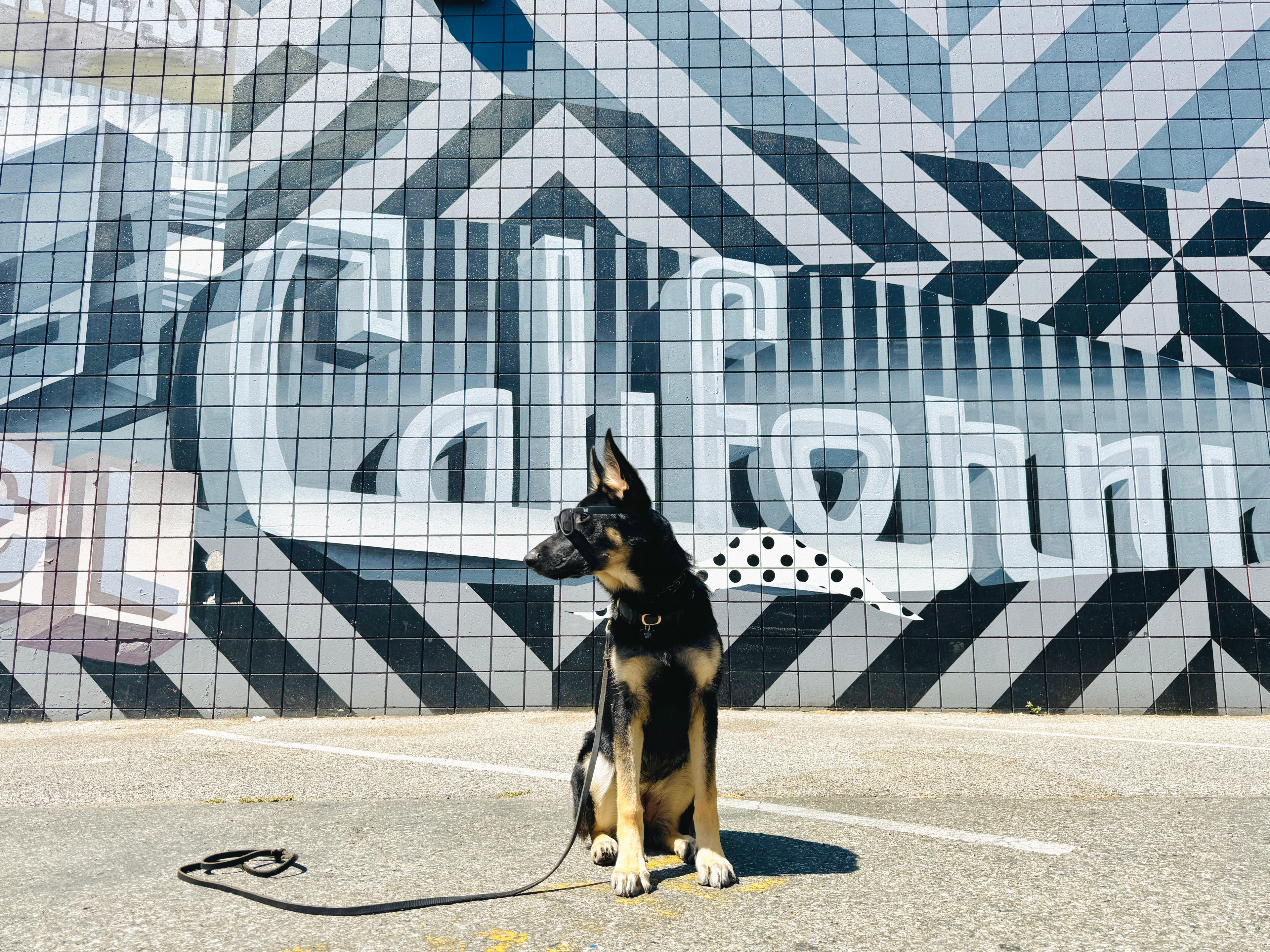 Willow in sunglasses at a mural wall