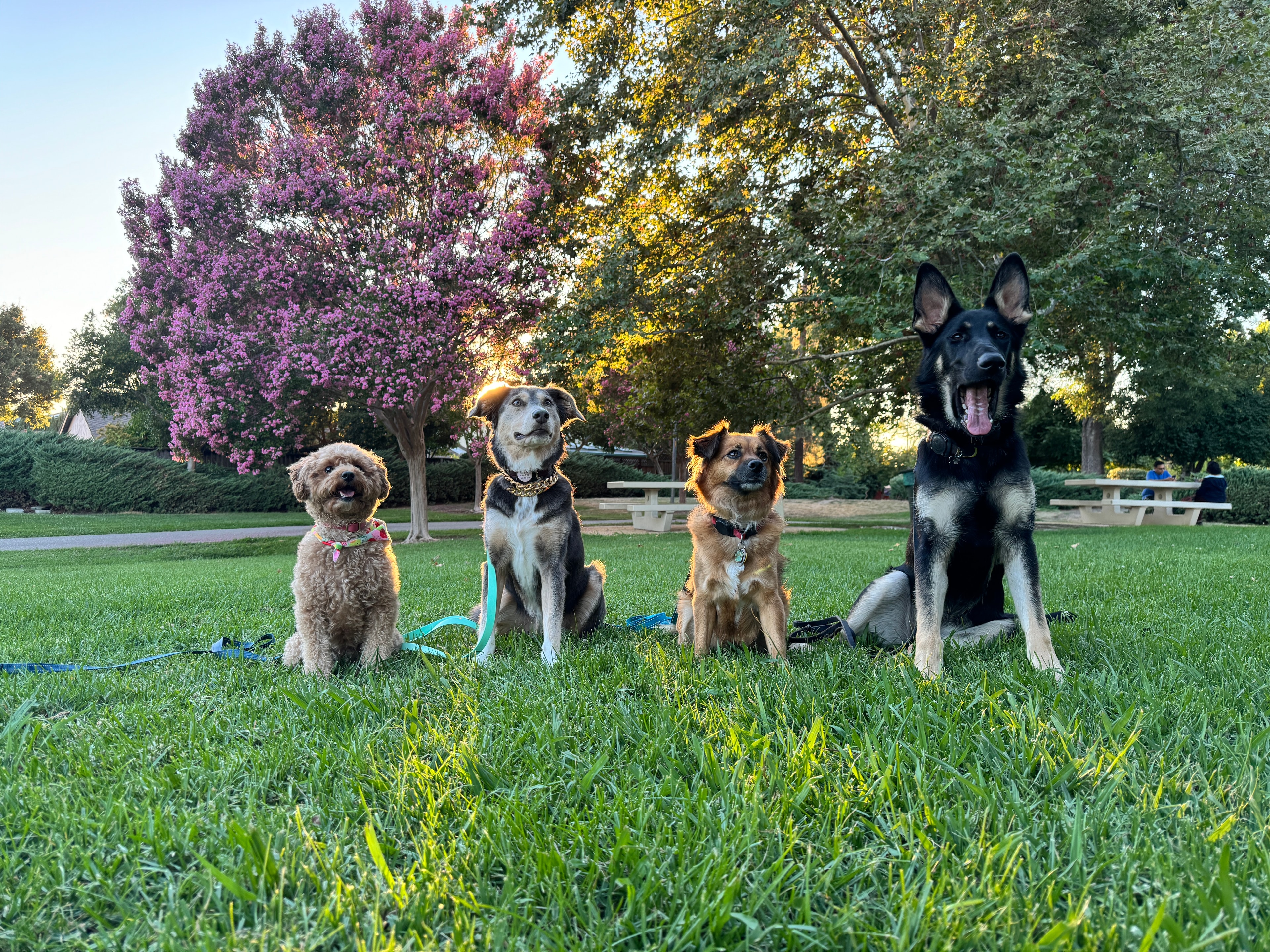 Willow with her crew at the park