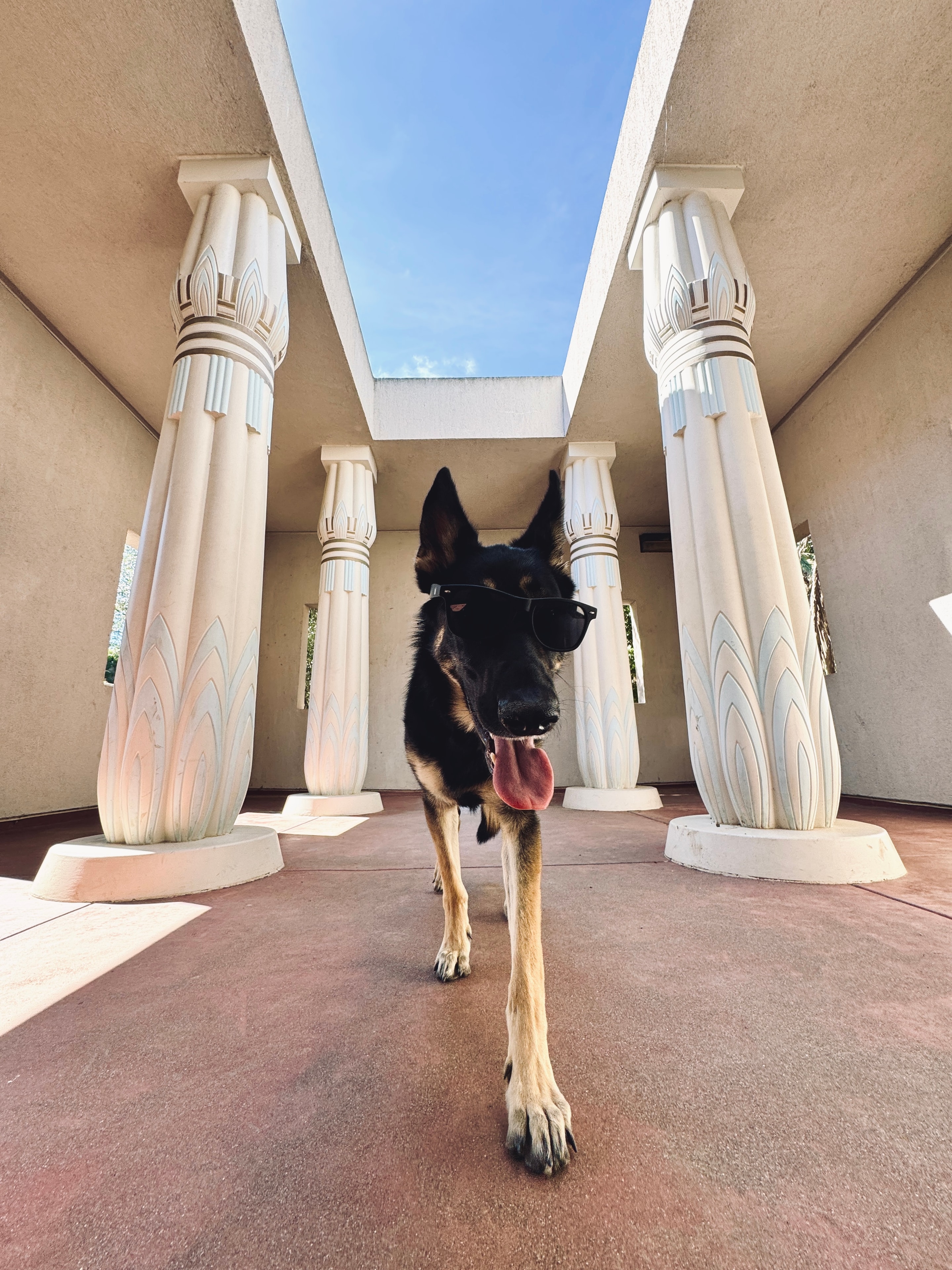 Willow at the columns in sunglasses